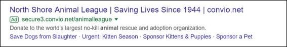 This example Google AdWords ad for a nonprofit directs to a donation page. This example Google AdWords ad for a nonprofit directs to a donation page.